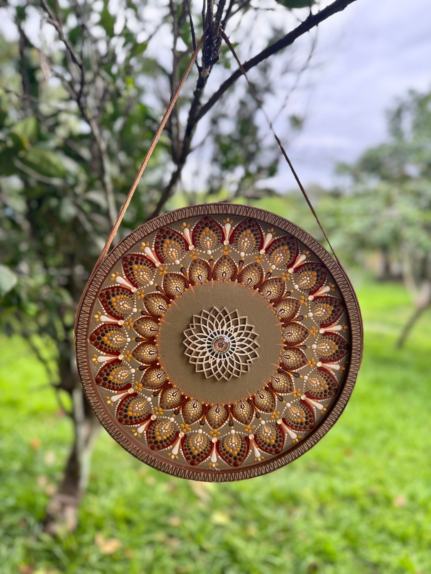 Mandala Raiz Solar